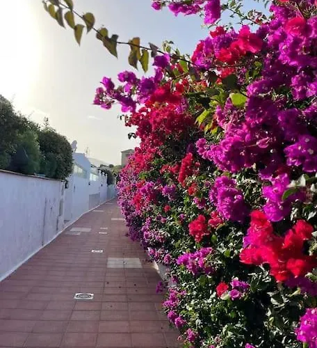 Acogedor Con Vistas פוארטו דה לה קרוז