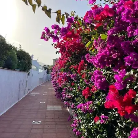 Acogedor Con Vistas بويرتو ذي لا كروز